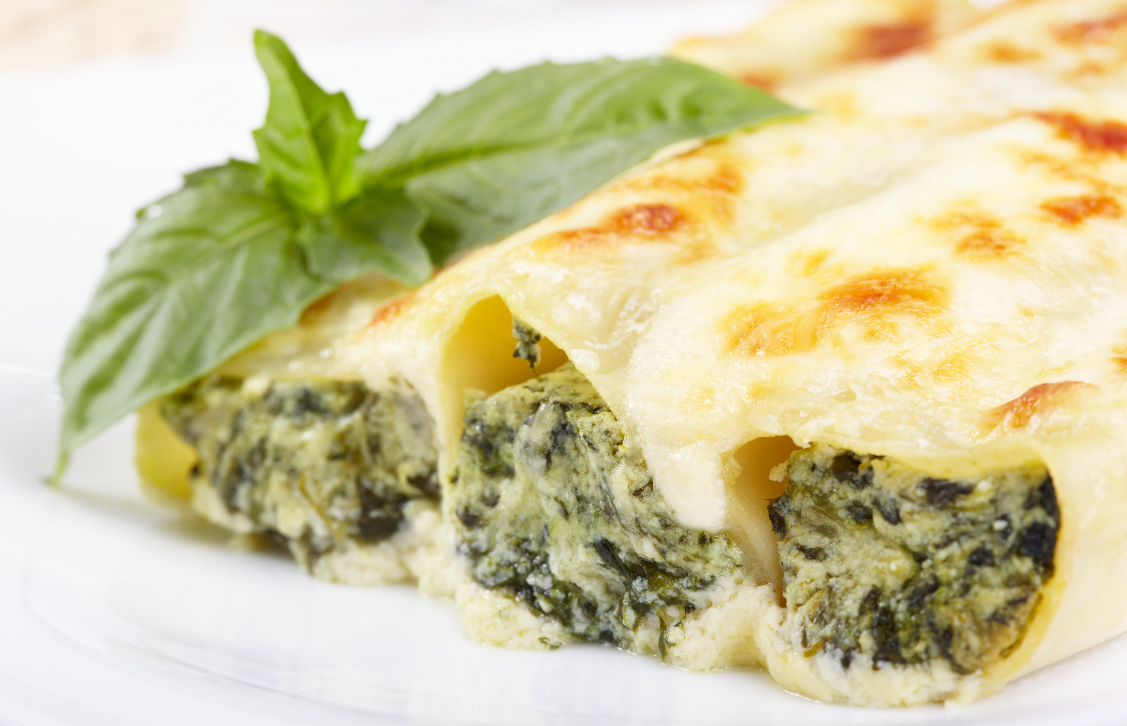 Canelones vegetales