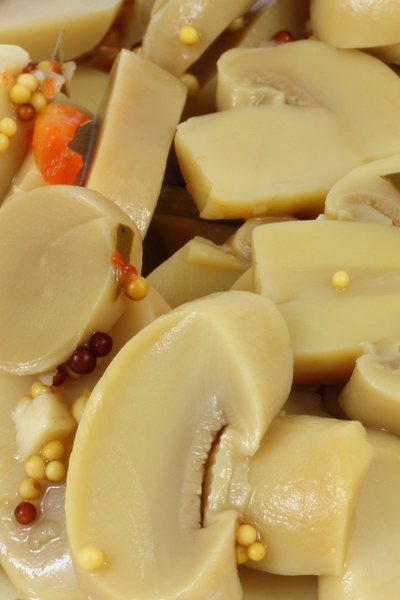 Champiñones en vinagre
